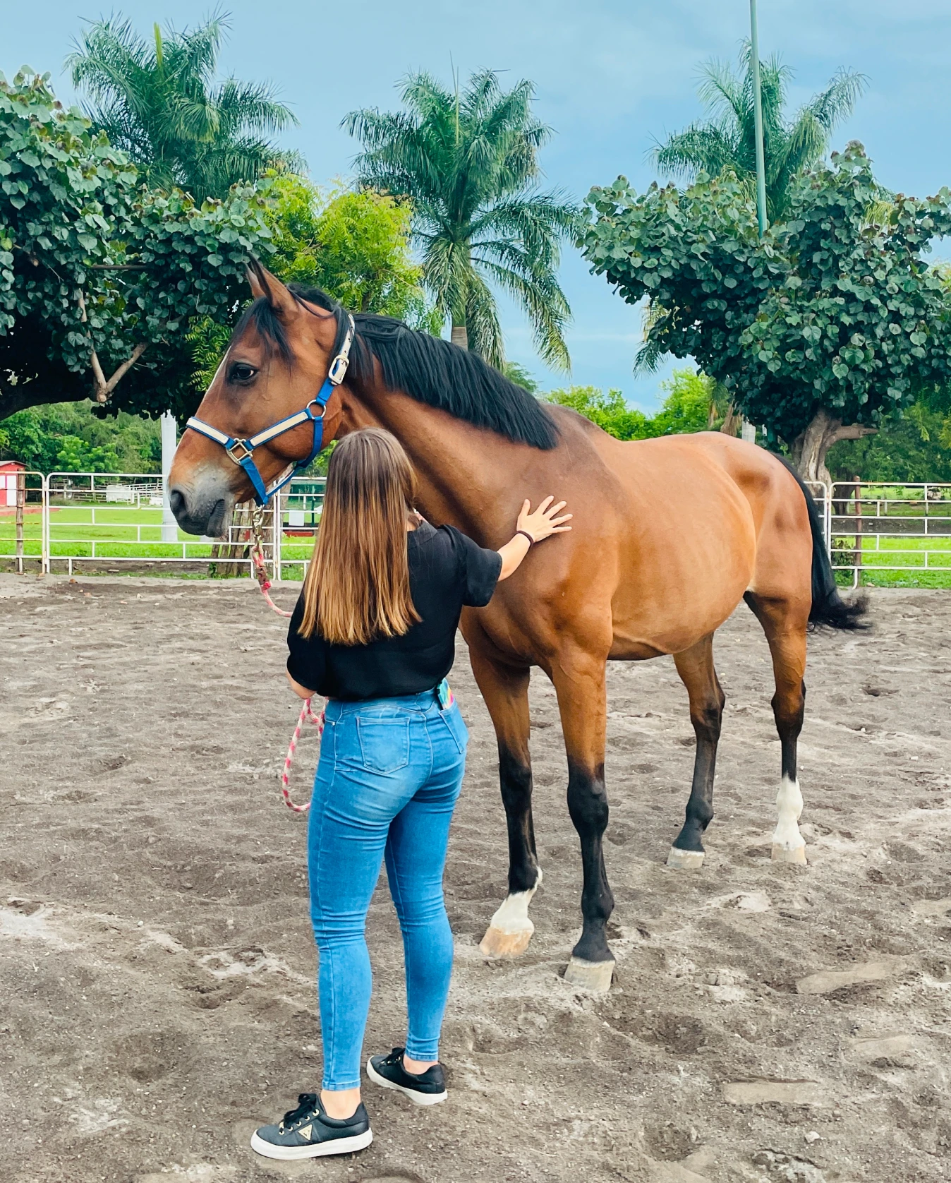 Participantes en talleres con caballos