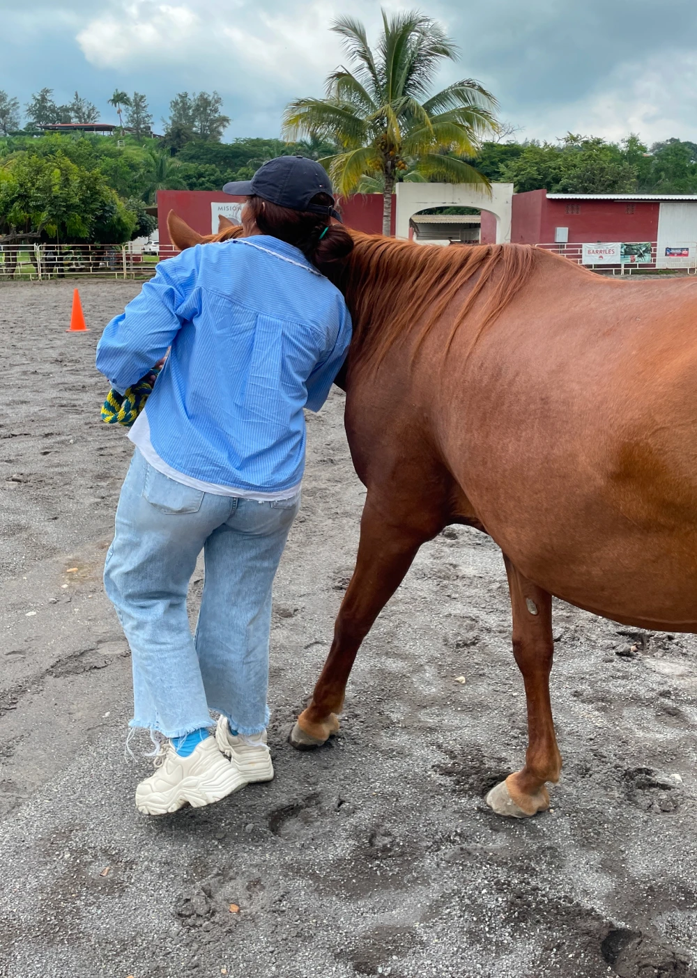 Lo más importante para nosotros es el bienestar de las personas y de los caballos.