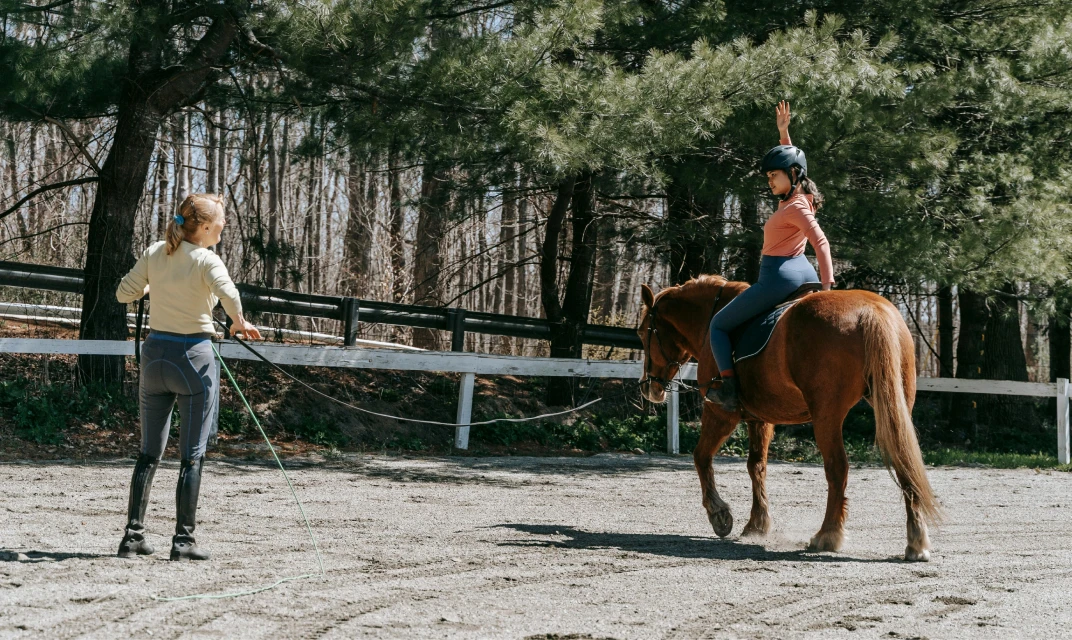 Terapias Individuales con Caballos