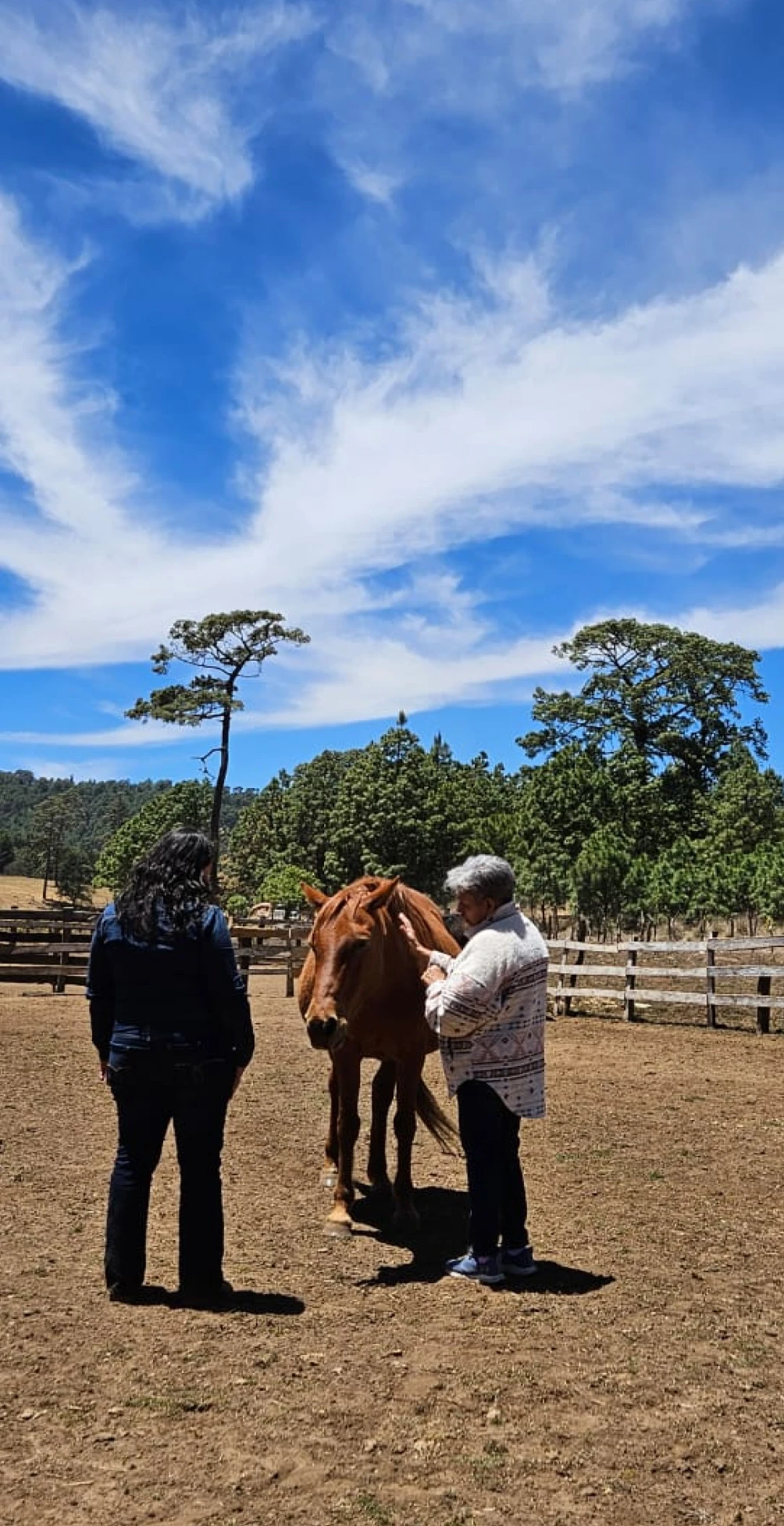 Lo más importante para nosotros es el bienestar de las personas y de los caballos.